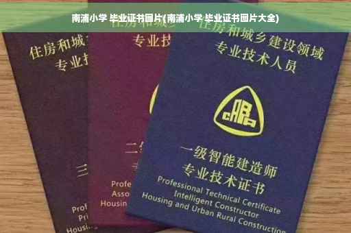 南浦小学 毕业证书图片(南浦小学 毕业证书图片大全)