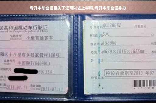 专升本毕业证丢失了还可以去上学吗,专升本毕业证补办