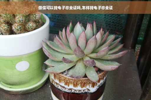 微信可以找电子毕业证吗,怎样找电子毕业证
