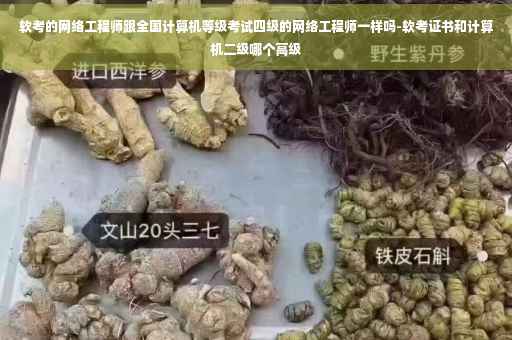软考的网络工程师跟全国计算机等级考试四级的网络工程师一样吗-软考证书和计算机二级哪个高级