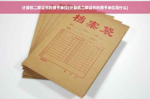 计算机二级证书的授予单位(计算机二级证书的授予单位是什么)