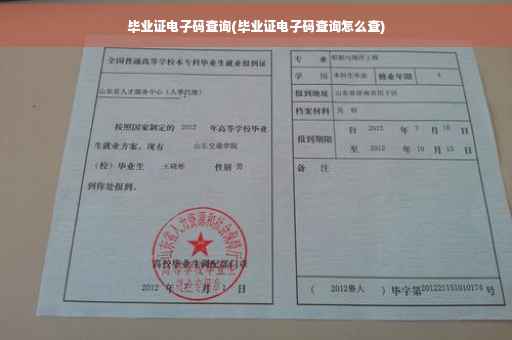 毕业证电子码查询(毕业证电子码查询怎么查)