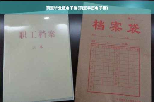 前置毕业证电子档(前置学历电子档)