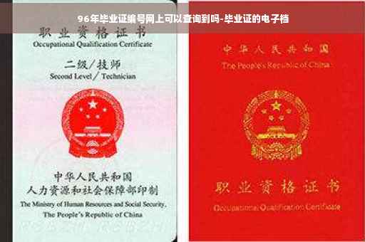 96年毕业证编号网上可以查询到吗-毕业证的电子档