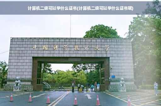 计算机二级可以学什么证书(计算机二级可以学什么证书呢)