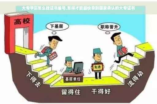 大专学历怎么找证书编号,怎样才能最快拿到国家承认的大专证书
