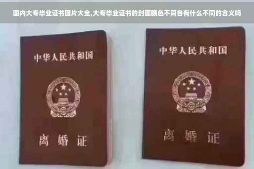 国内大专毕业证书图片大全,大专毕业证书的封面颜色不同各有什么不同的含义吗