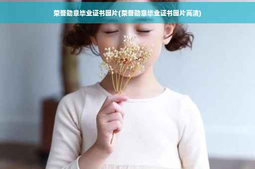 荣誉勋章毕业证书图片(荣誉勋章毕业证书图片高清)