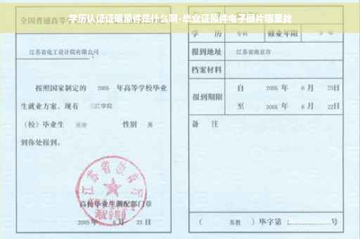 学历认证证明原件是什么啊-毕业证原件电子图片哪里找