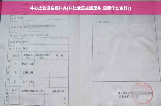 补办毕业证在哪补办(补毕业证去哪里补,需要什么资料?)