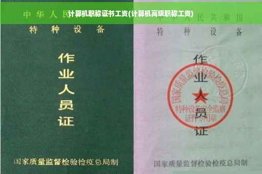 计算机职称证书工资(计算机高级职称工资)