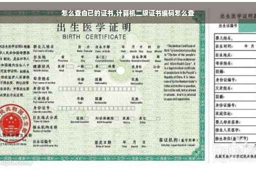 怎么查自已的证书,计算机二级证书编码怎么查