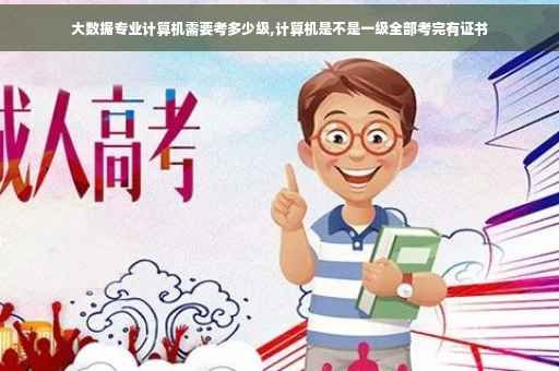 大数据专业计算机需要考多少级,计算机是不是一级全部考完有证书