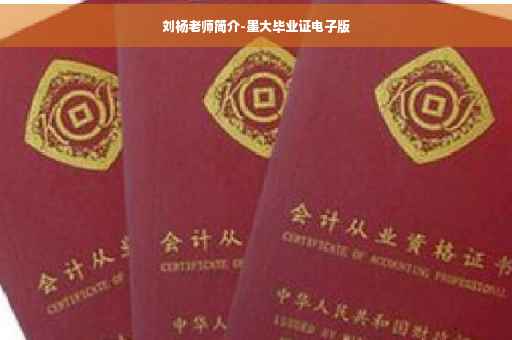 刘杨老师简介-墨大毕业证电子版