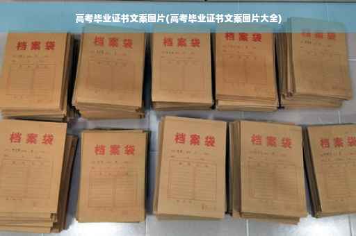 高考毕业证书文案图片(高考毕业证书文案图片大全)