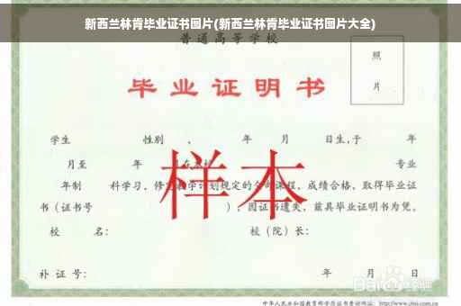新西兰林肯毕业证书图片(新西兰林肯毕业证书图片大全)