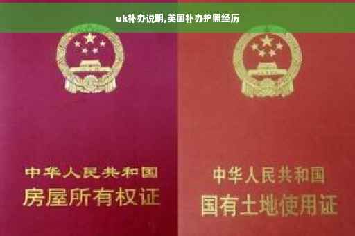 uk补办说明,英国补办护照经历