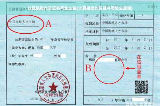 计算机操作员证书号怎么查(计算机操作员证书号怎么查询)