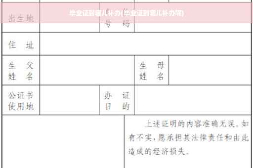 毕业证到哪儿补办(毕业证到哪儿补办呢)