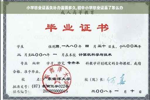 小学毕业证丢失补办需要多久,初中小学毕业证丢了怎么办