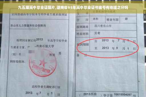 九五届高中毕业证图片,湖南省95年高中毕业证书编号有地域之分吗