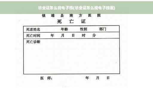毕业证怎么找电子档(毕业证怎么找电子档案)