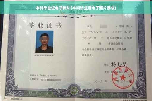 本科毕业证电子照片(本科毕业证电子照片要求)