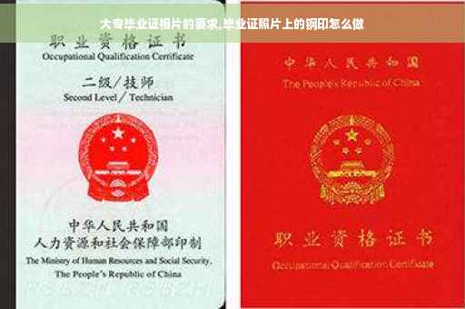 大专毕业证相片的要求,毕业证照片上的钢印怎么做