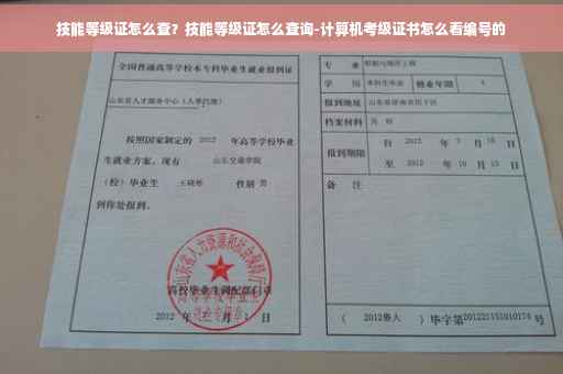技能等级证怎么查？技能等级证怎么查询-计算机考级证书怎么看编号的