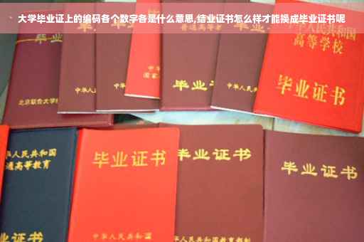 大学毕业证上的编码各个数字各是什么意思,结业证书怎么样才能换成毕业证书呢