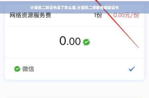 计算机二级证书丢了怎么查,计算机二级都有哪些证书