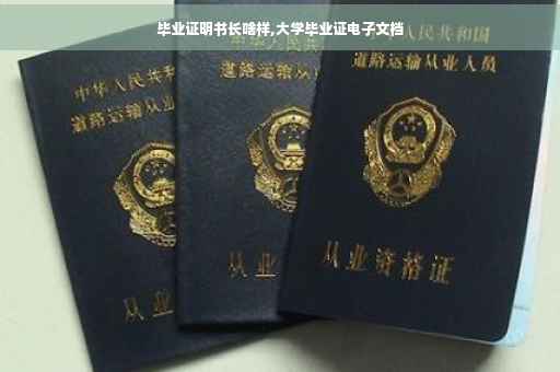 毕业证明书长啥样,大学毕业证电子文档
