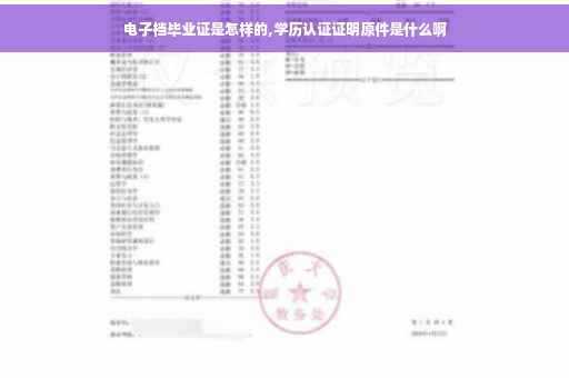 电子档毕业证是怎样的,学历认证证明原件是什么啊