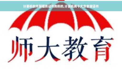 计算机软件算哪类证书类别的,计算机类十大含金量证书
