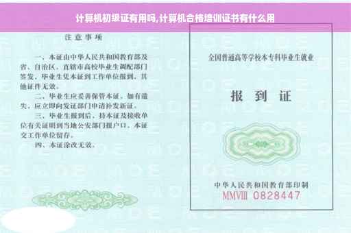 计算机初级证有用吗,计算机合格培训证书有什么用