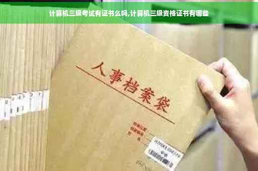 计算机三级考试有证书么吗,计算机三级资格证书有哪些