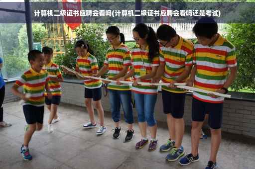 计算机二级证书应聘会看吗(计算机二级证书应聘会看吗还是考试)