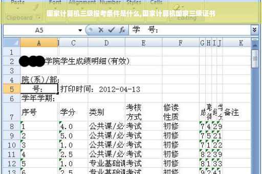 国家计算机三级报考条件是什么,国家计算机国家三级证书