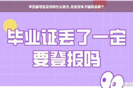 学历编号在证书的什么地方,毕业证电子编码是哪个