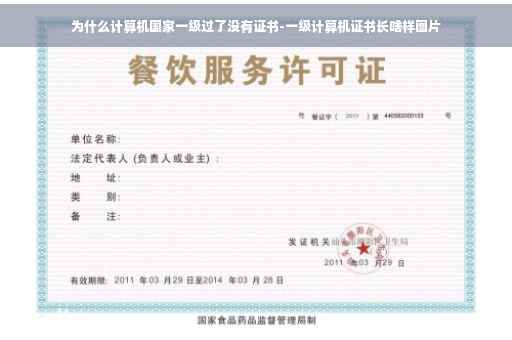 为什么计算机国家一级过了没有证书-一级计算机证书长啥样图片
