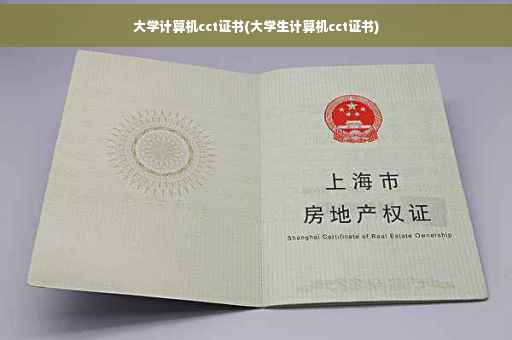大学计算机cct证书(大学生计算机cct证书)