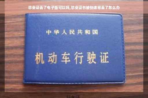 毕业证丢了电子版可以吗,毕业证书被快递寄丢了怎么办