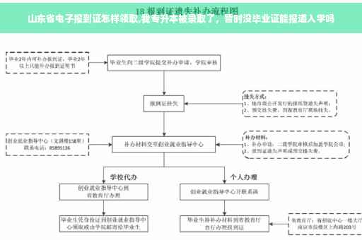 山东省电子报到证怎样领取,我专升本被录取了，暂时没毕业证能报道入学吗