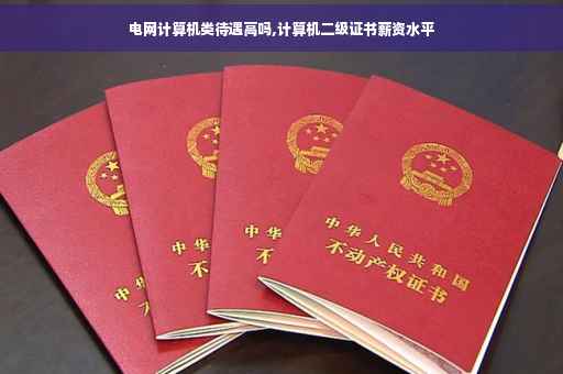 电网计算机类待遇高吗,计算机二级证书薪资水平