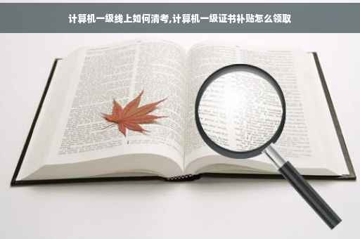计算机一级线上如何清考,计算机一级证书补贴怎么领取