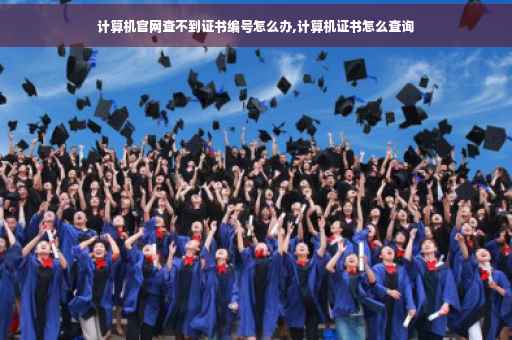 计算机官网查不到证书编号怎么办,计算机证书怎么查询