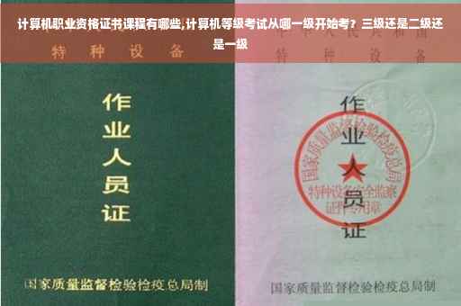 计算机职业资格证书课程有哪些,计算机等级考试从哪一级开始考？三级还是二级还是一级