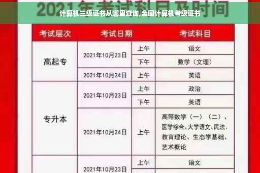 计算机三级证书从哪里查询,全国计算机考级证书