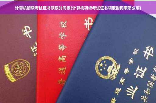 计算机初级考试证书领取时间表(计算机初级考试证书领取时间表怎么填)