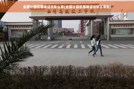 全国计算机等级证书怎么拿(全国计算机等级证书怎么拿到)